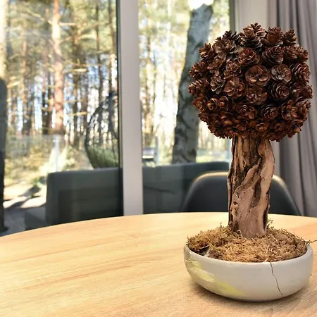 Ciki Puki Pajurys Palanga